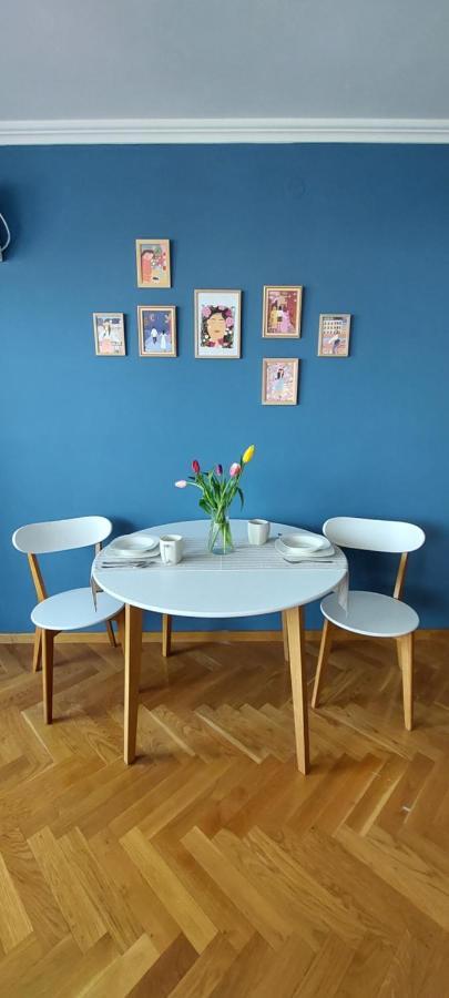 Plavi Zec Apartment ซูโบติกา ภายนอก รูปภาพ