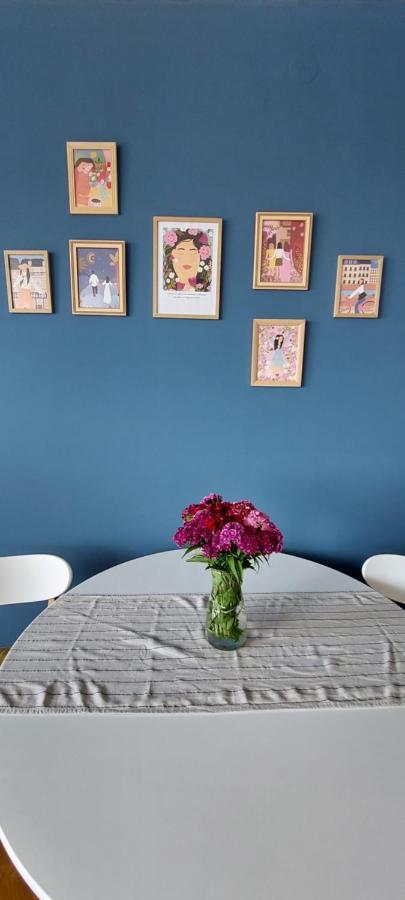 Plavi Zec Apartment ซูโบติกา ภายนอก รูปภาพ